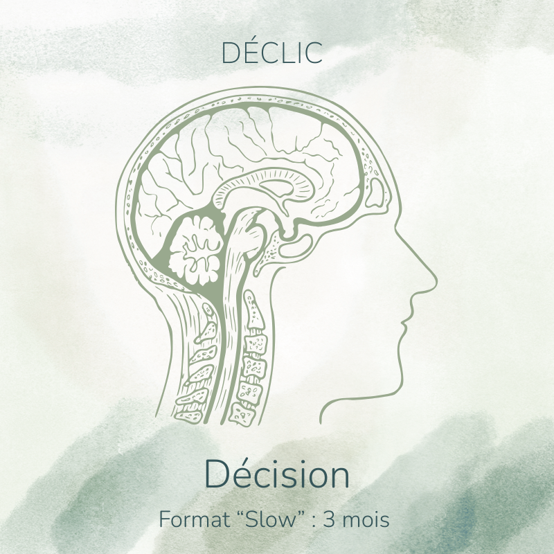 Programme-Declic-Decision-Slow